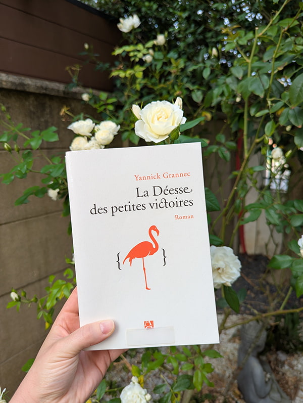 la-deesse-des-petites-victoires-yannick-grannec