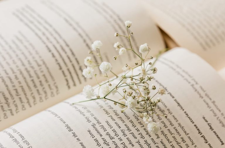 tendreslesmots_blog_litteraire_hero